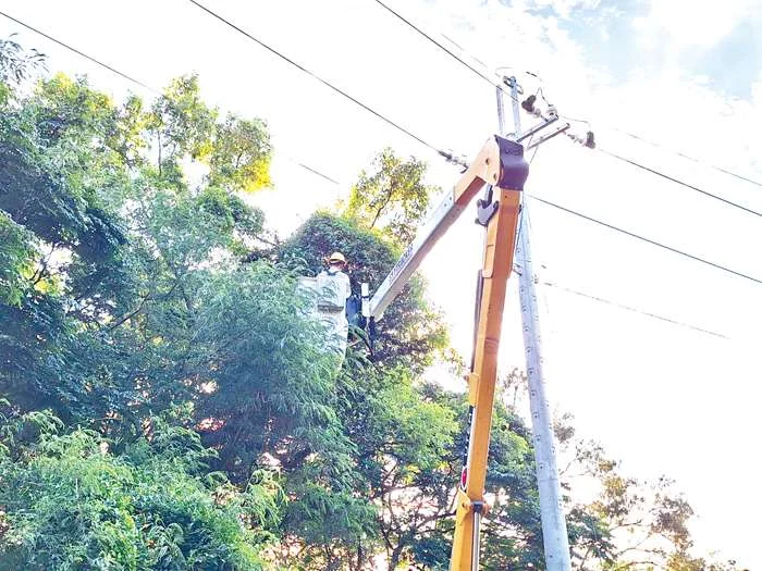 颱風巴威進逼!台電金門區處全面備戰 停電通報這招最快