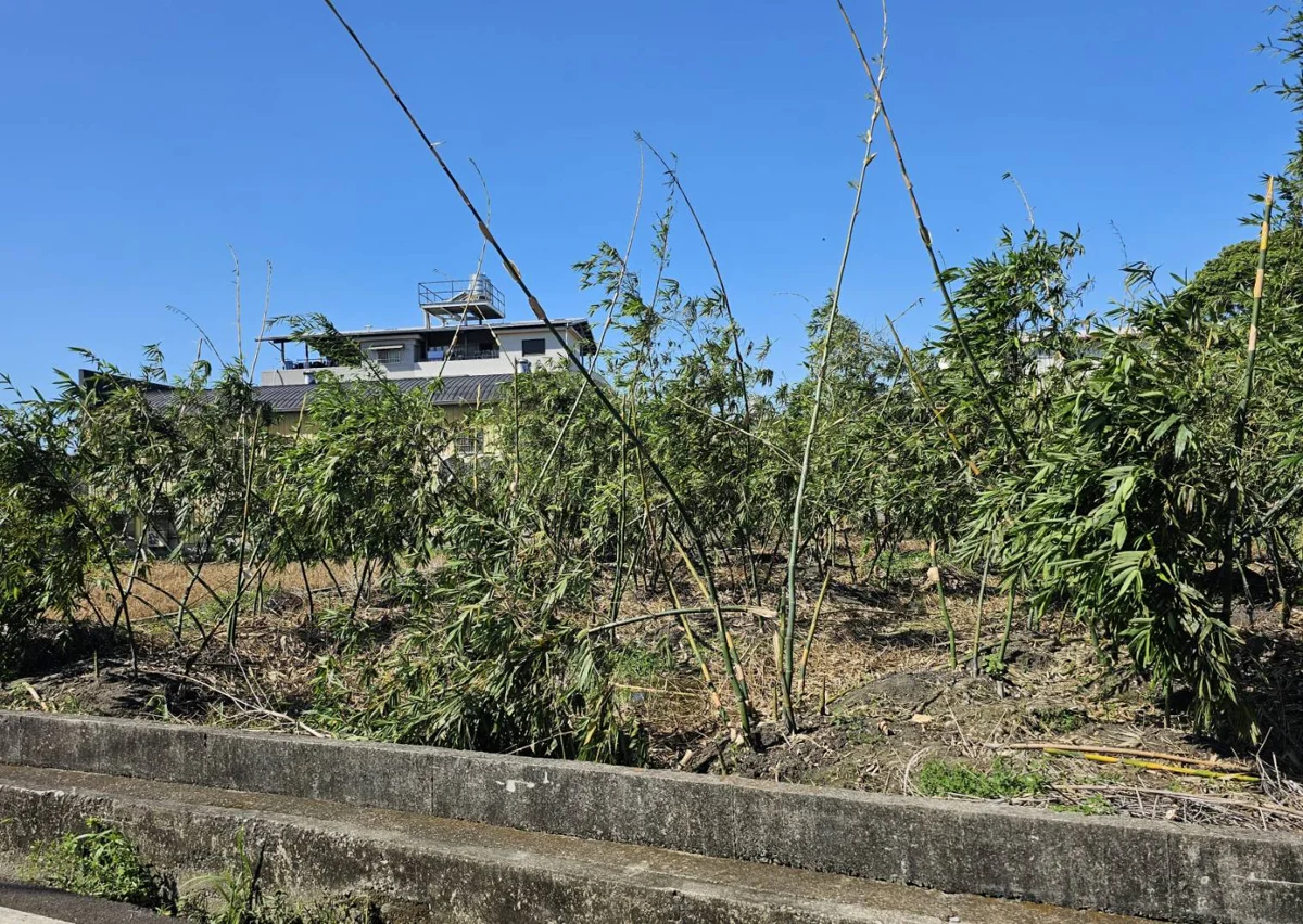 圖片來源:臺中市政府