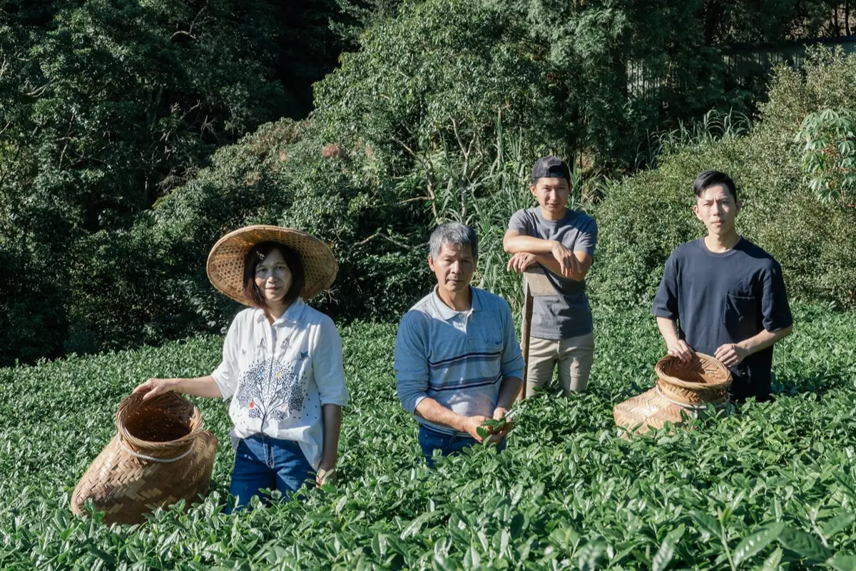 圖片來源:新北市政府