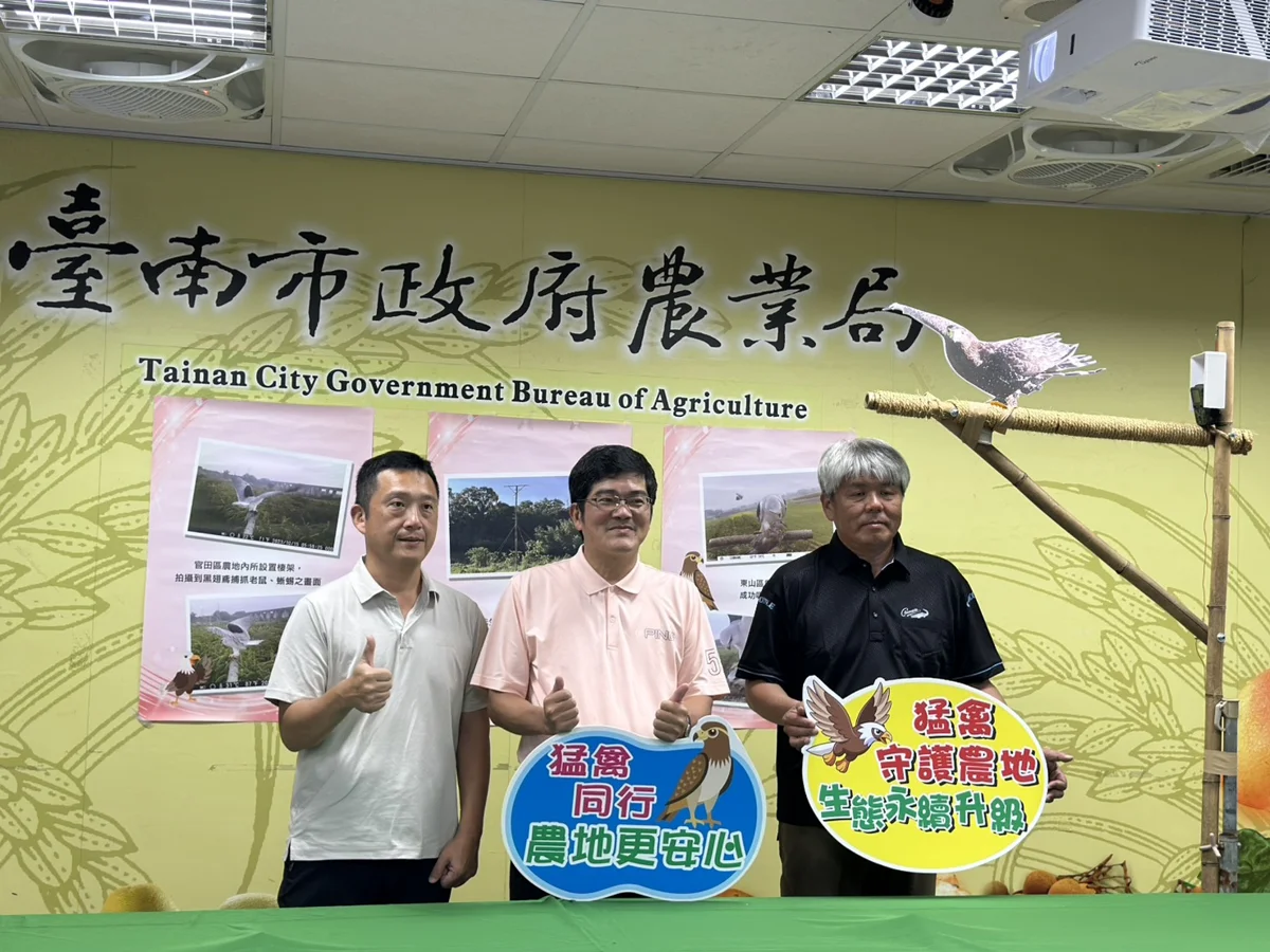 台南農田請來「空中保鑣」!全市設23座猛禽棲架,自然捕鼠守護農作物