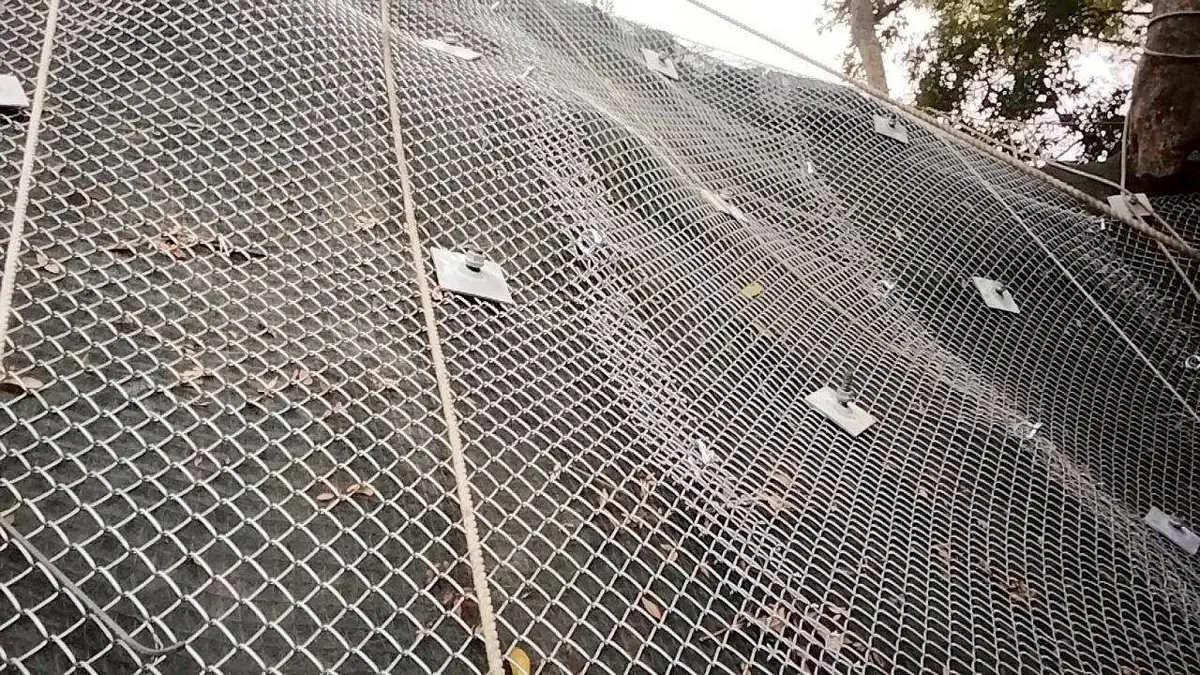 圖片來源:臺中市政府