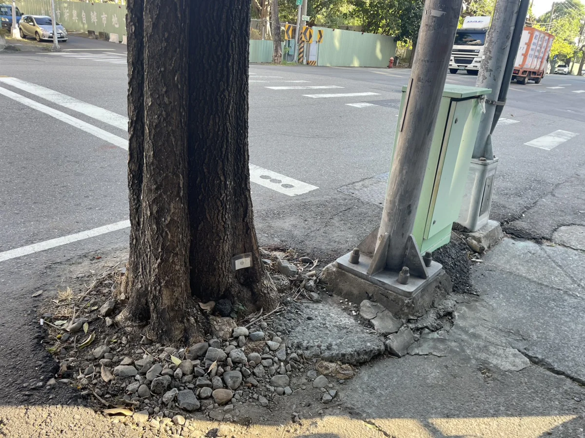 圖片來源:臺中市政府