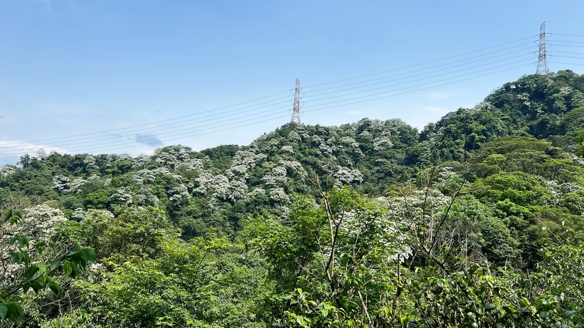 圖片來源：新北市政府
