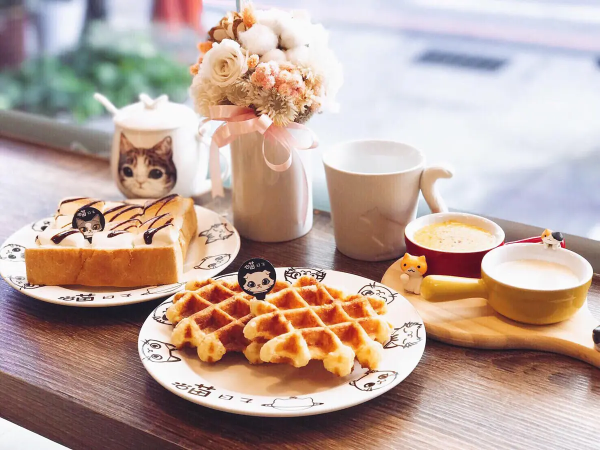 桃園「喵日子café」貓咪陪吃飯超療癒 無限時咖啡廳讓人一坐就不想走