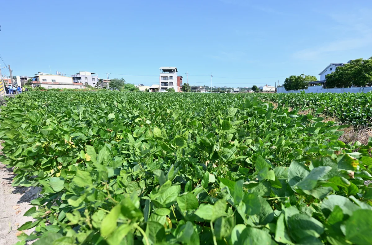 圖片來源:苗栗縣政府