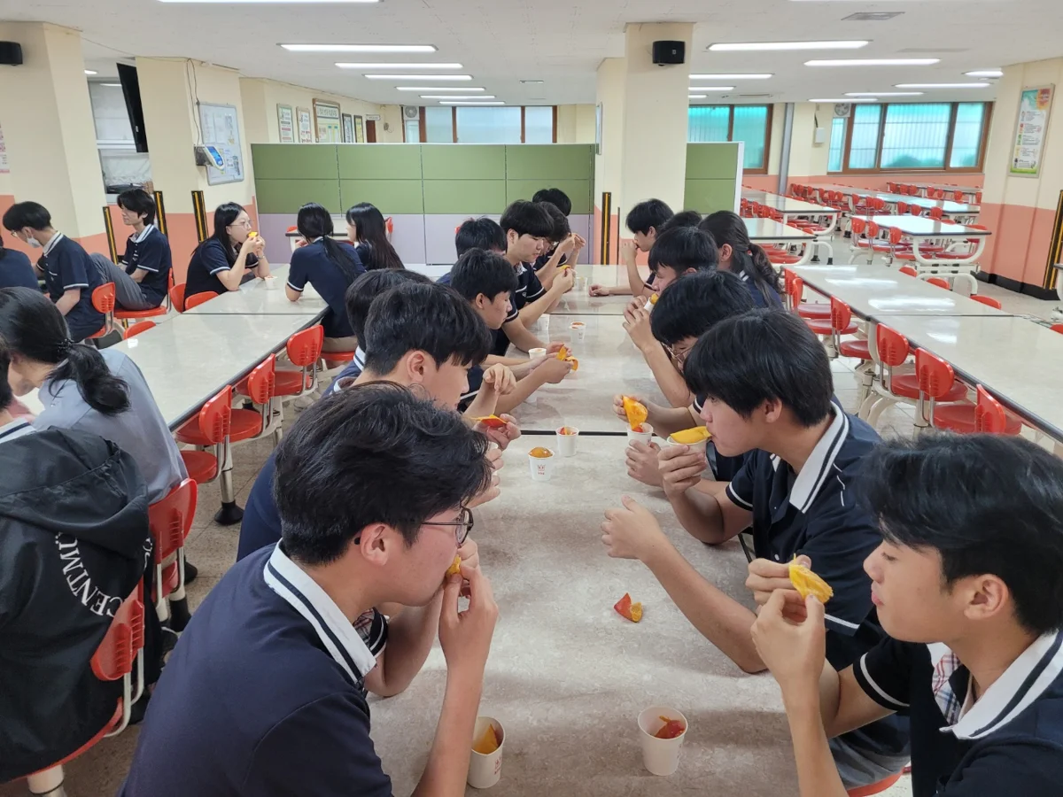 圖片來源:臺南市政府