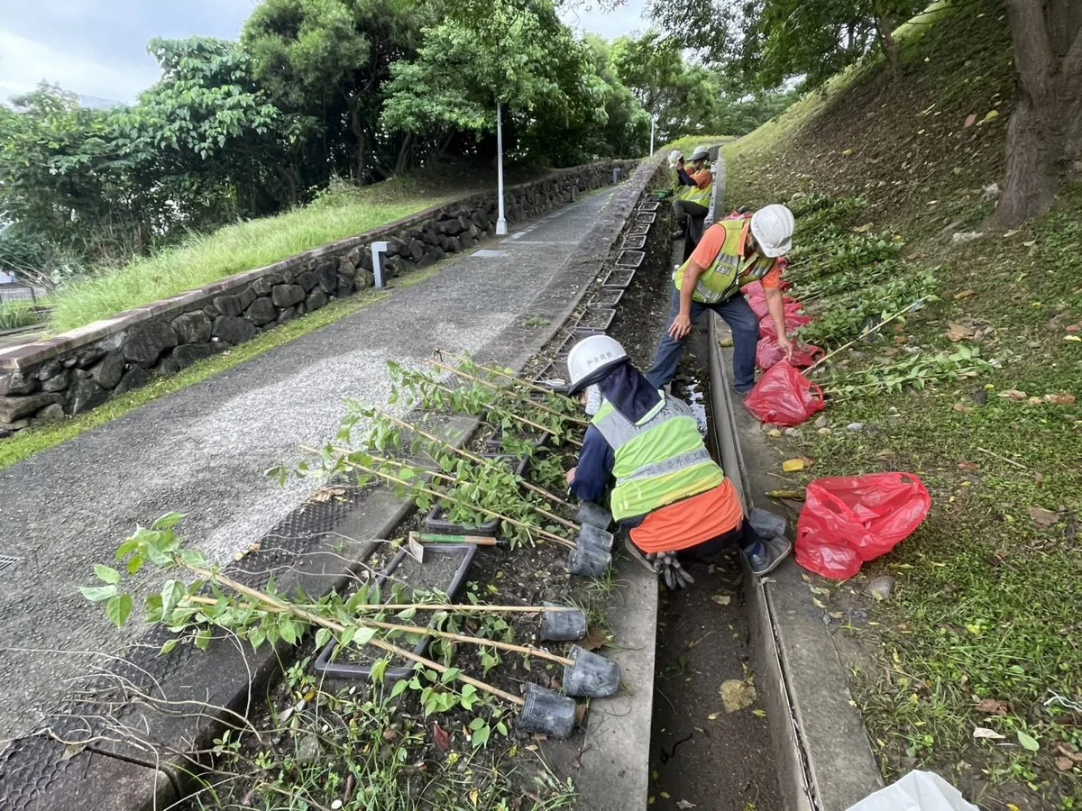 北投三層崎公園大升級!全新「炮仗花長廊」加23株櫻花,未來必訪打卡點大公開