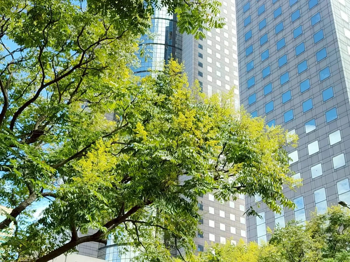 圖片來源:臺北市政府