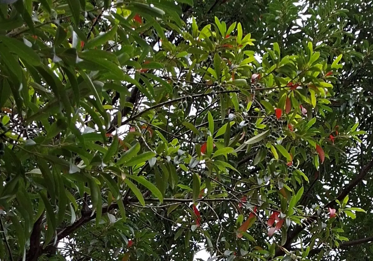 圖片來源:臺北市政府