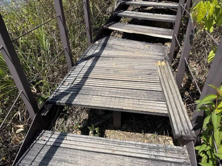 圖片來源:南投旅遊網-活動