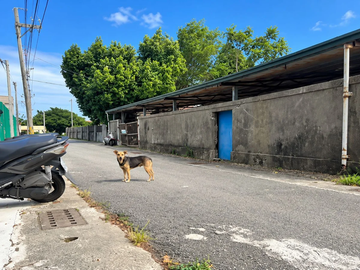 圖片來源:臺東縣政府