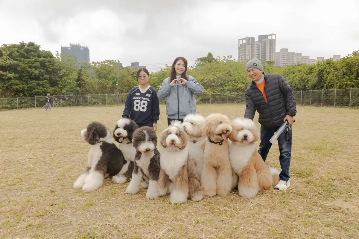 圖片來源:新竹市政府