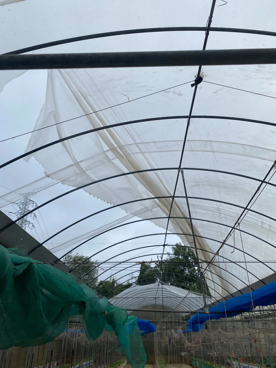 薔琵颱風重創台中農作!最高補助360萬,10/27起開放現金救助申請