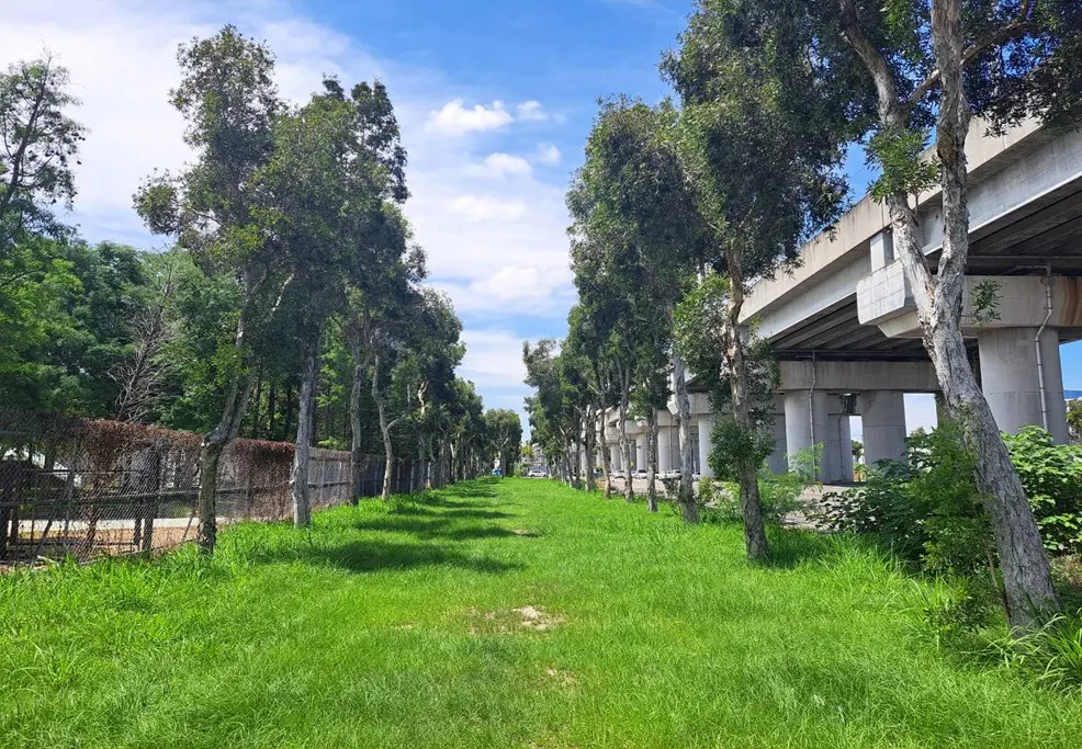 圖片來源:臺中市政府