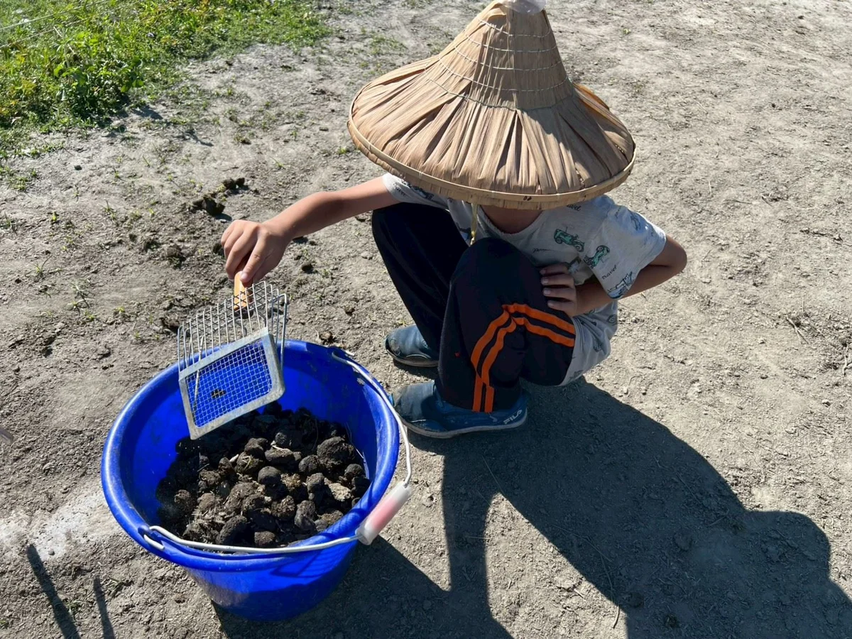圖片來源：花蓮縣政府