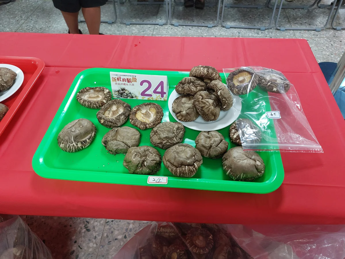 圖片來源：臺中市政府