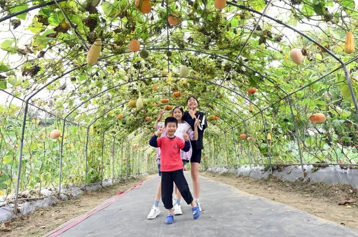 圖片來源:苗栗縣政府