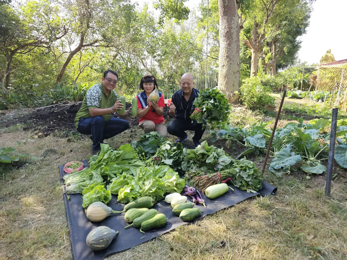 大肚清潔隊空地變菜園！暖心「尚青」有機蔬菜直送社區據點