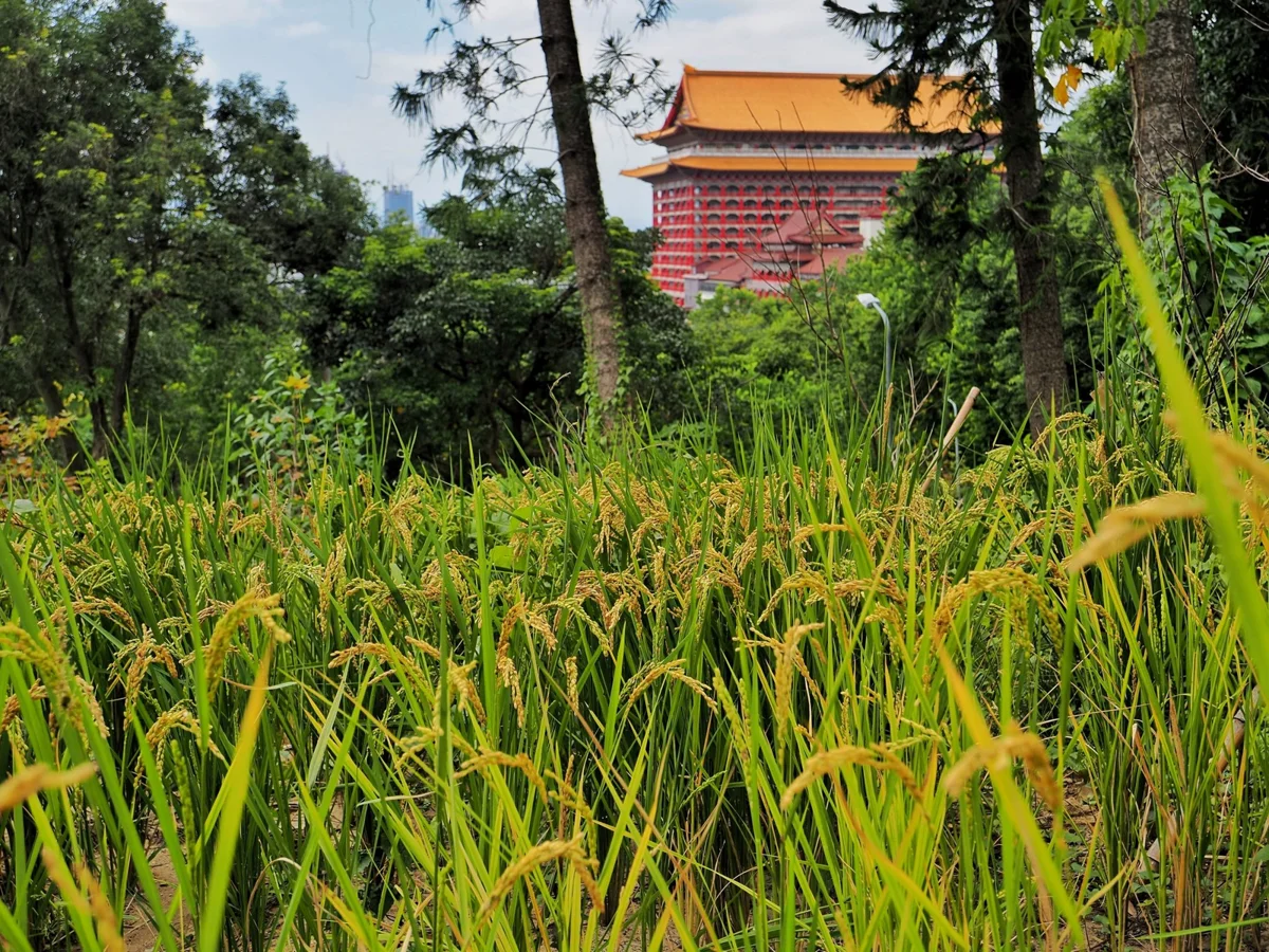 圖片來源:臺北市政府
