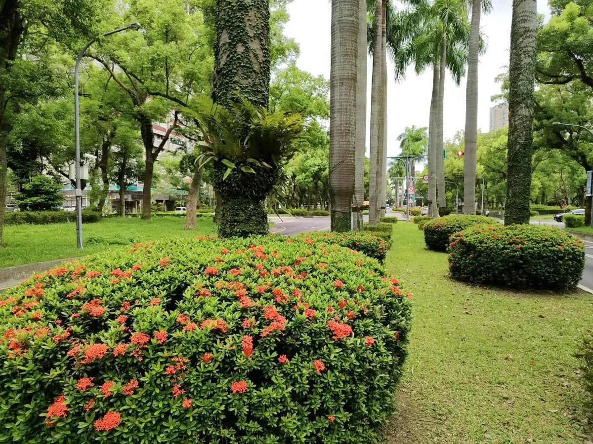 圖片來源：臺北市政府