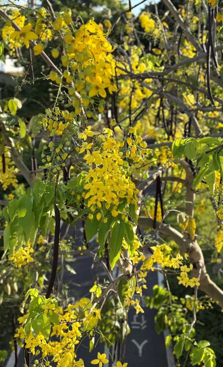 圖片來源:臺北市政府