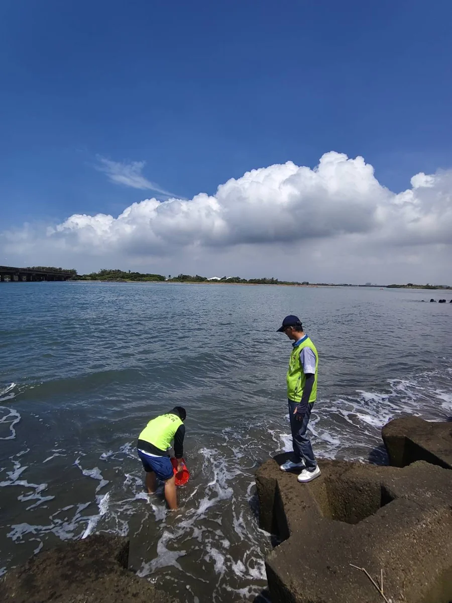 百萬草蝦苗入海!台南四草大橋復育生態 守護海洋資源