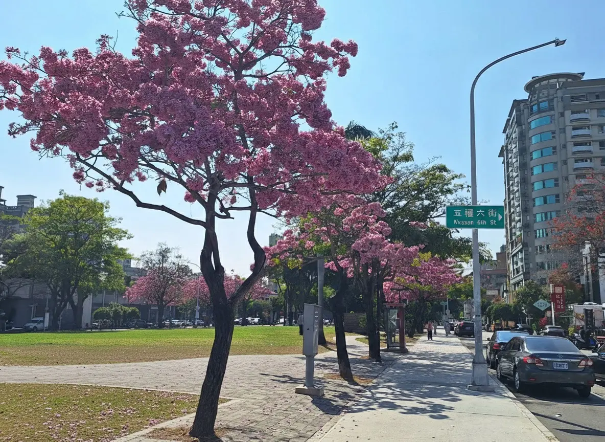 圖片來源:臺中市政府