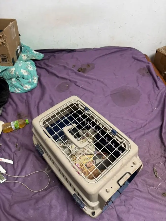 圖片來源:新竹縣政府