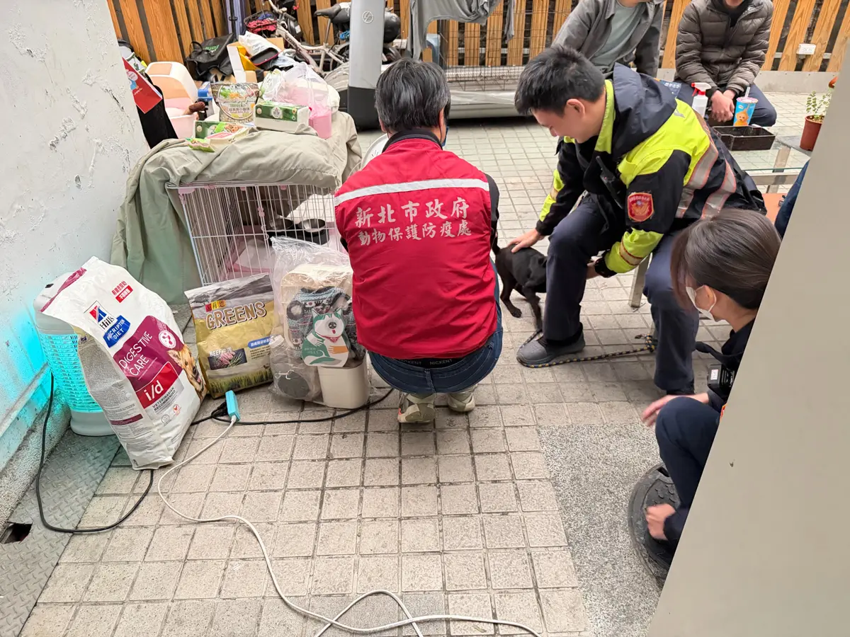 圖片來源:新北市政府