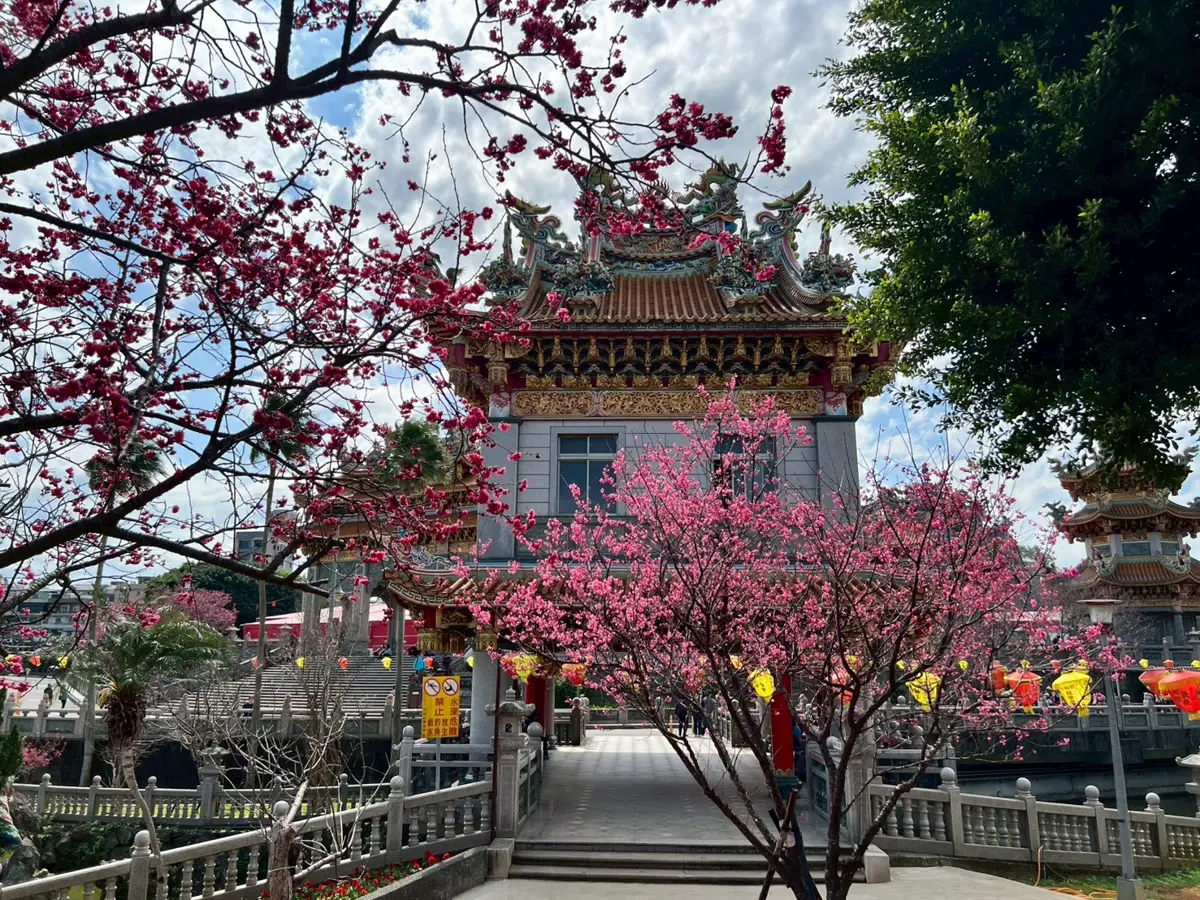 圖片來源:新北市政府