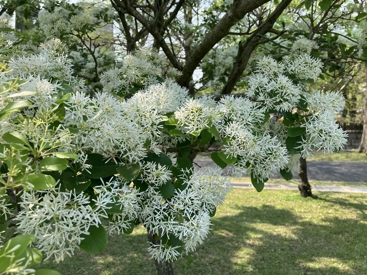 圖片來源:臺北市政府