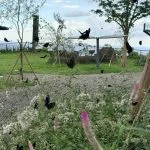 南投「漆色流年」特展登場!人間國寶領軍 展現漆藝光影之美