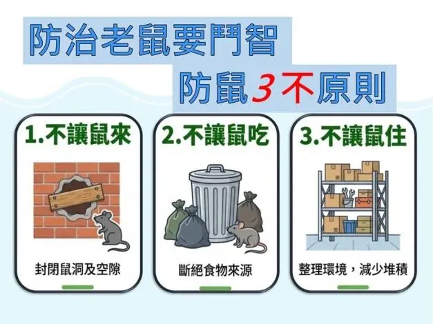 苗栗鼠輩橫行?環保局授「防鼠3不」秘訣,新年大掃除跟著做就對了!