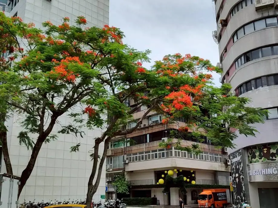 圖片來源:臺北市政府