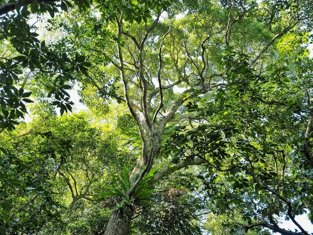 圖片來源:臺北市政府
