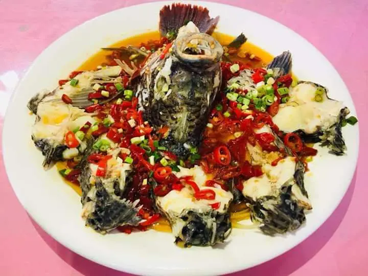 龍潭活魚界暗藏冠軍!「燴鱻活魚」客家川菜一網打盡饕客味蕾