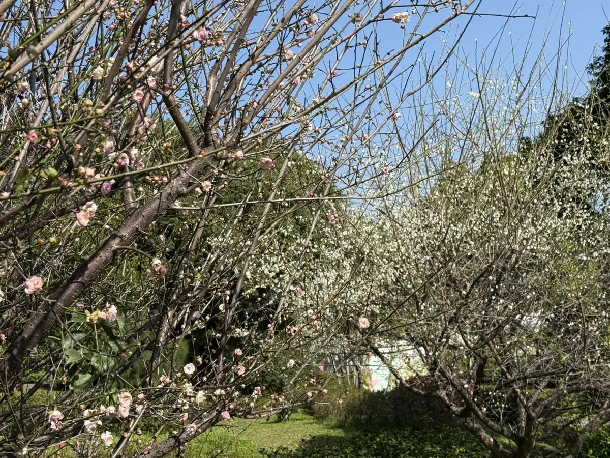 圖片來源:臺北市政府