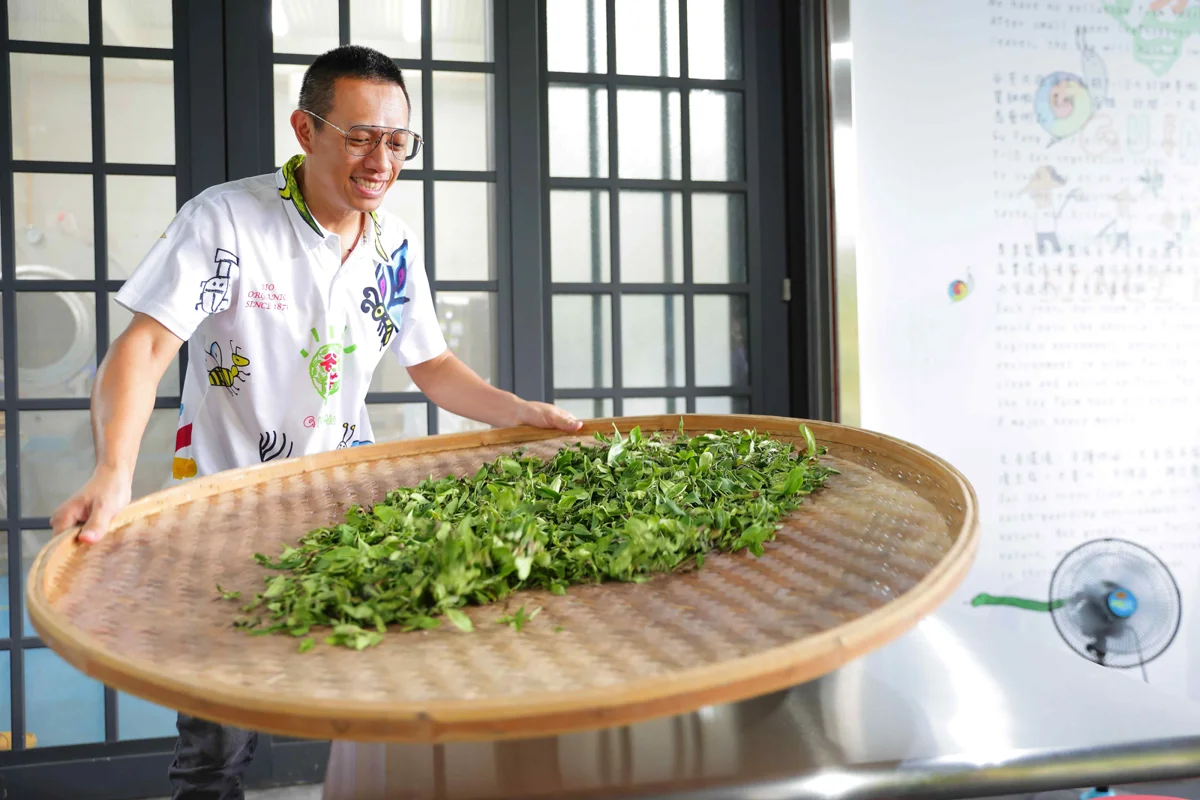 有機青農李昌峻推動茶葉國際化 創意茶點結合食農教育