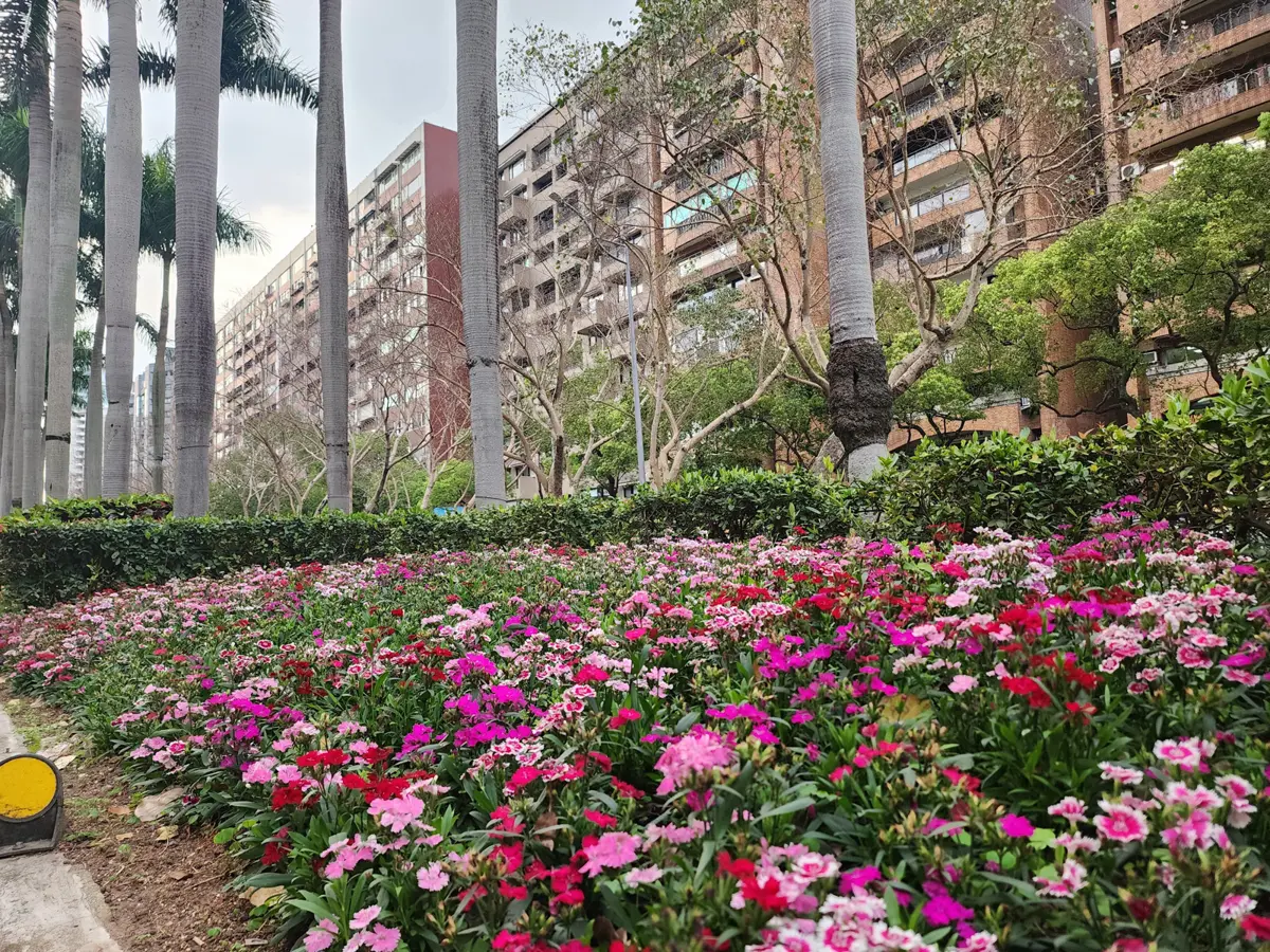 圖片來源:臺北市政府