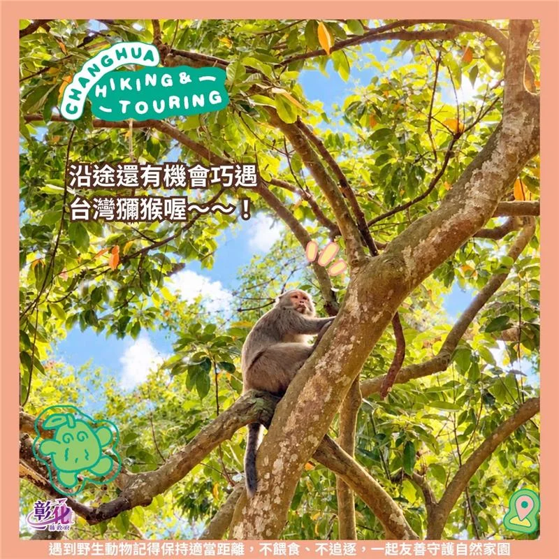 圖片來源:彰化觀光旅遊網-活動