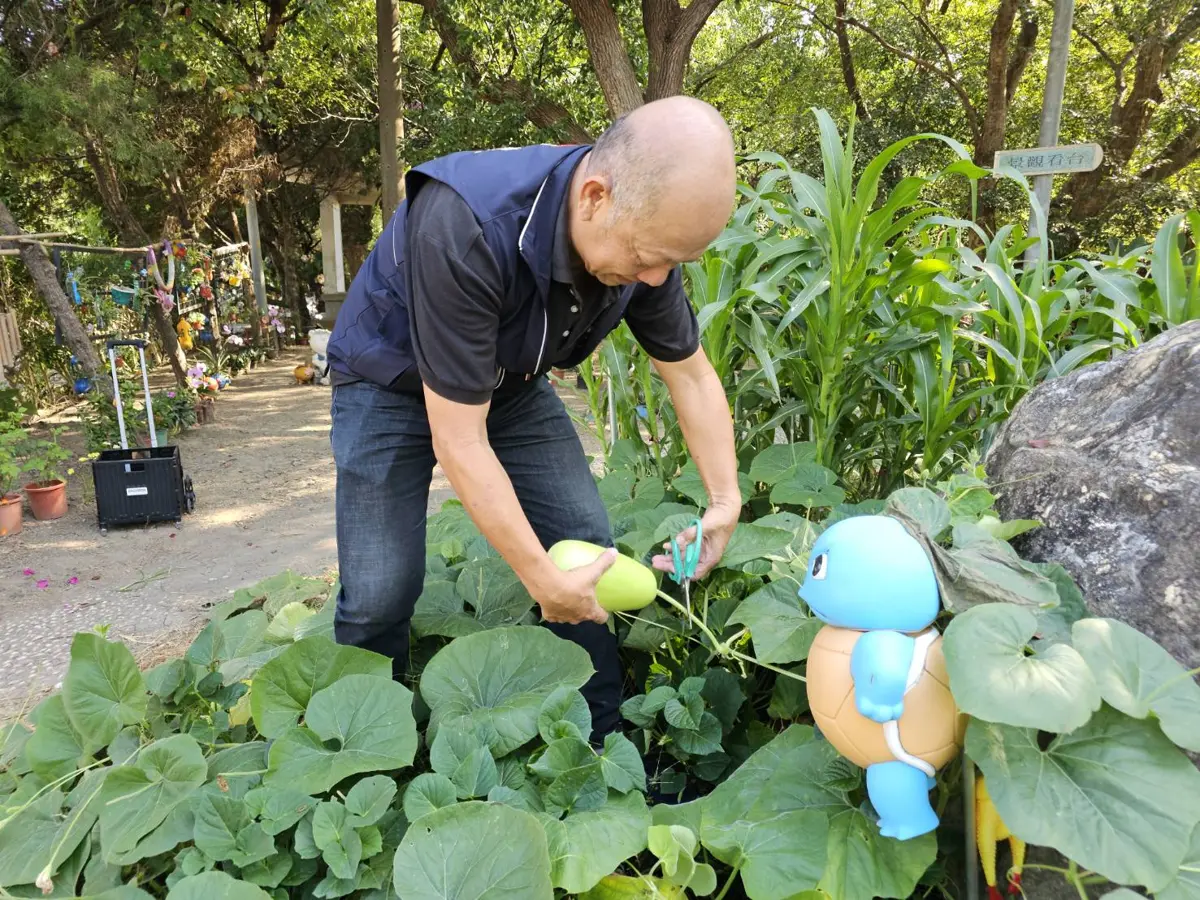 圖片來源:臺中市政府