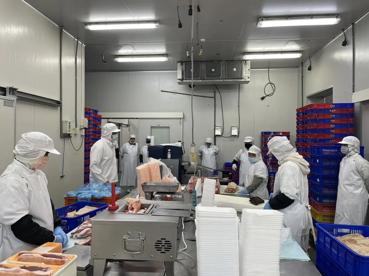 千萬升級!花蓮光豐豬肉供應鏈大改造,食安、品質雙保證