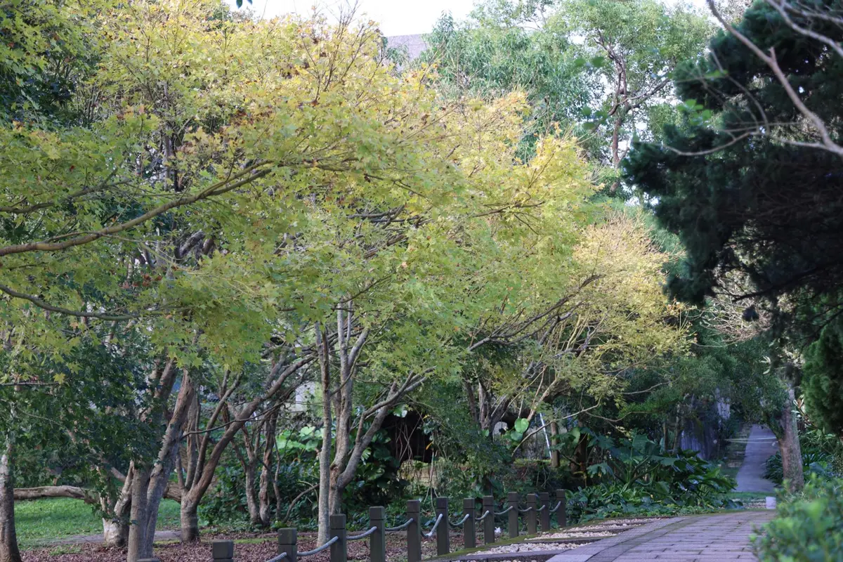 圖片來源:臺北市政府