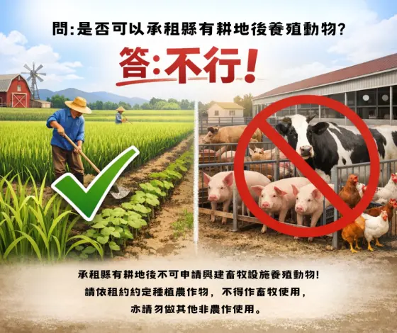 想在農地養雞鴨?苗栗縣府警告:租用縣有耕地蓋畜牧場,小心違約!