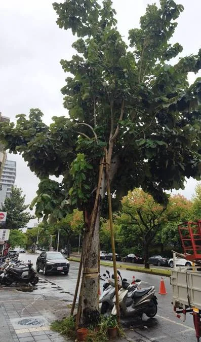 圖片來源:臺北市政府