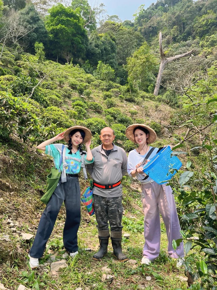 圖片來源：高雄市政府