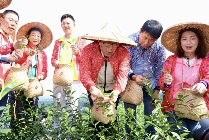 圖片來源:臺南市政府