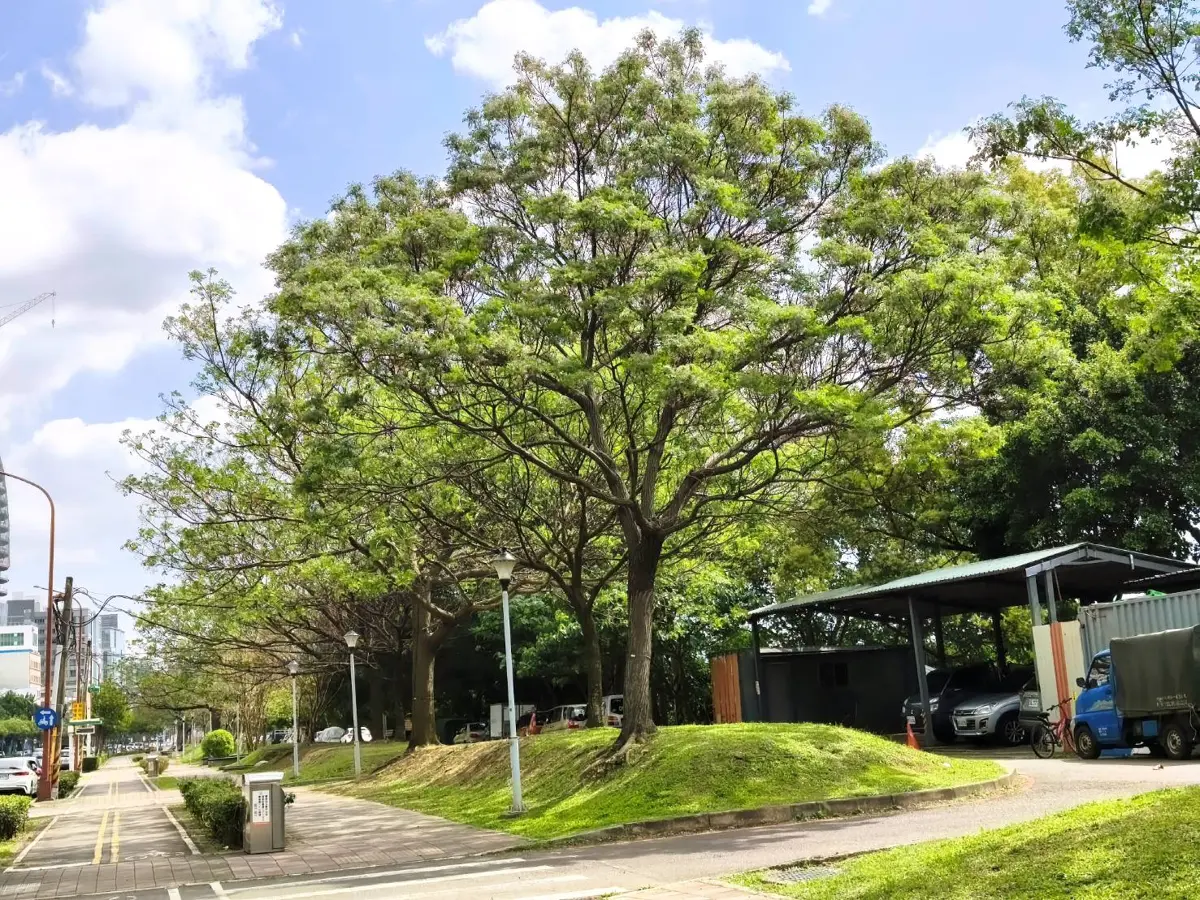 圖片來源:臺北市政府