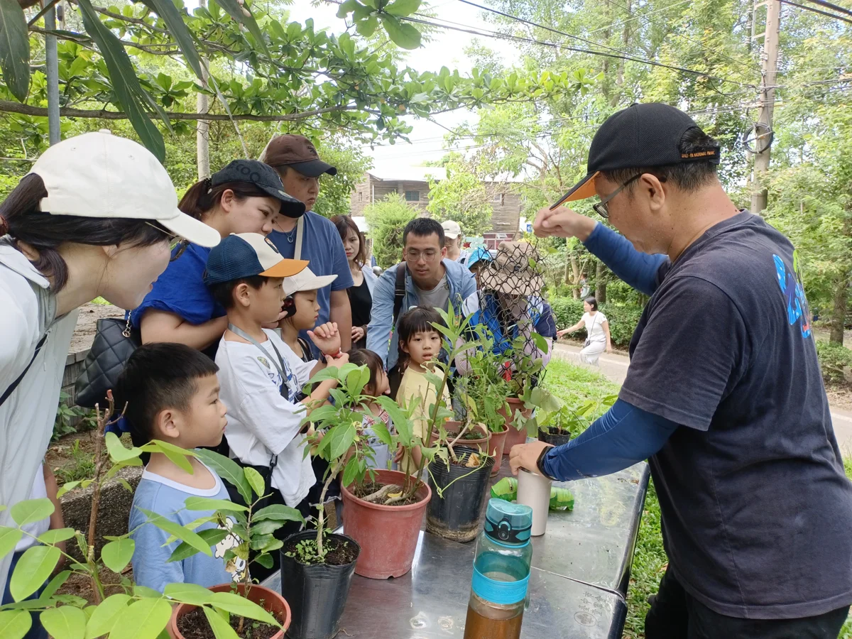 2026大坑蝶螢嘉年華圓滿落幕！夏日生態探索攻略大公開