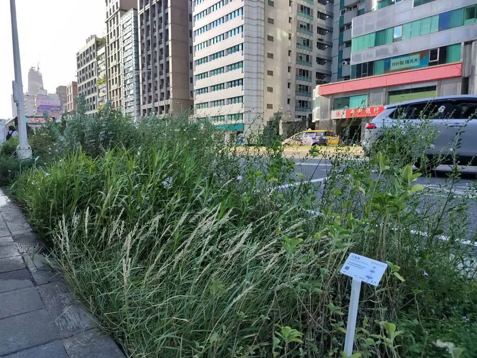 圖片來源:臺北市政府